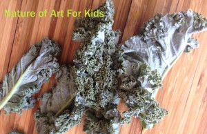 make kale natural paint for kids, organic art making