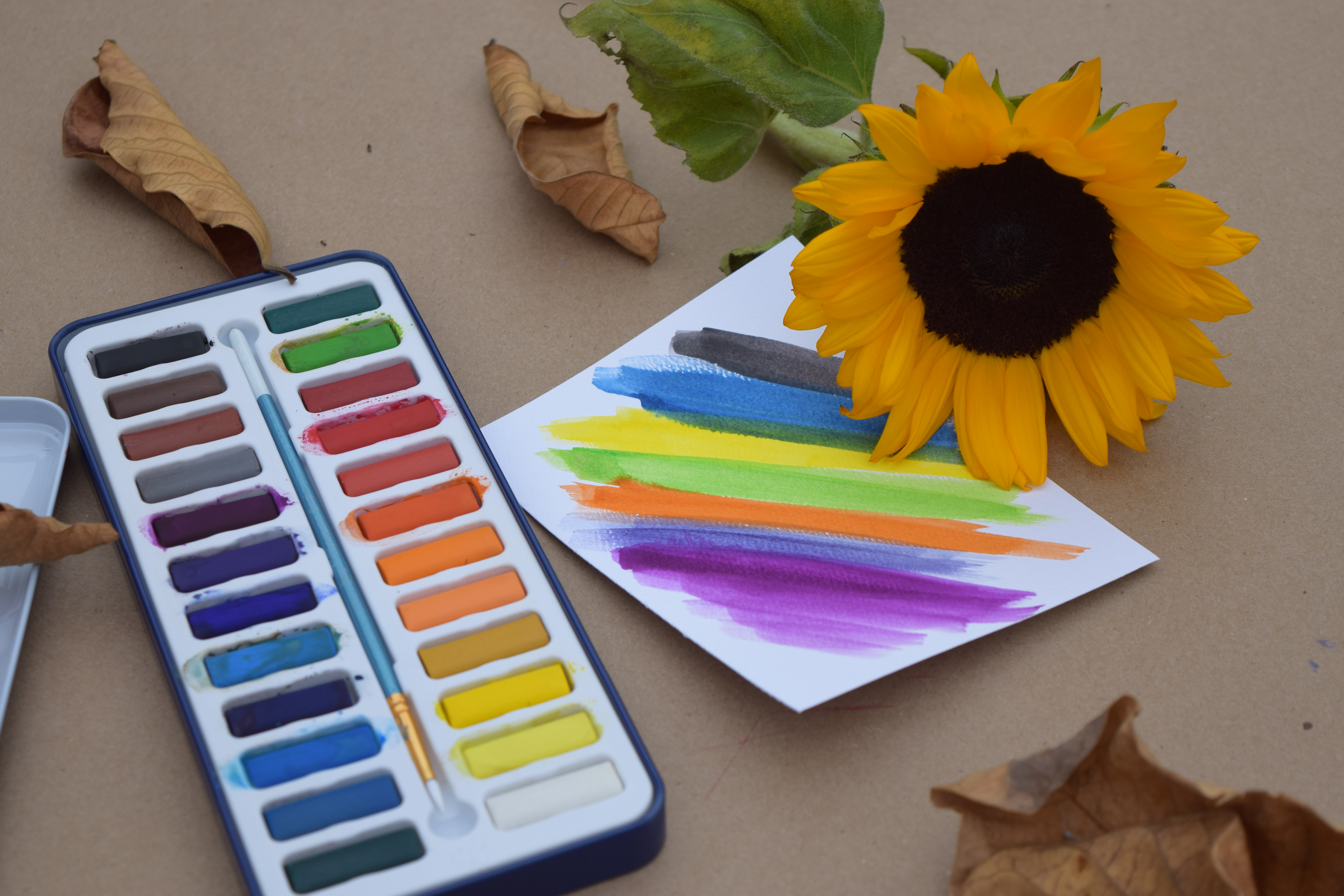 Dry Watercolor Paints for Kids, Safe Non-toxic